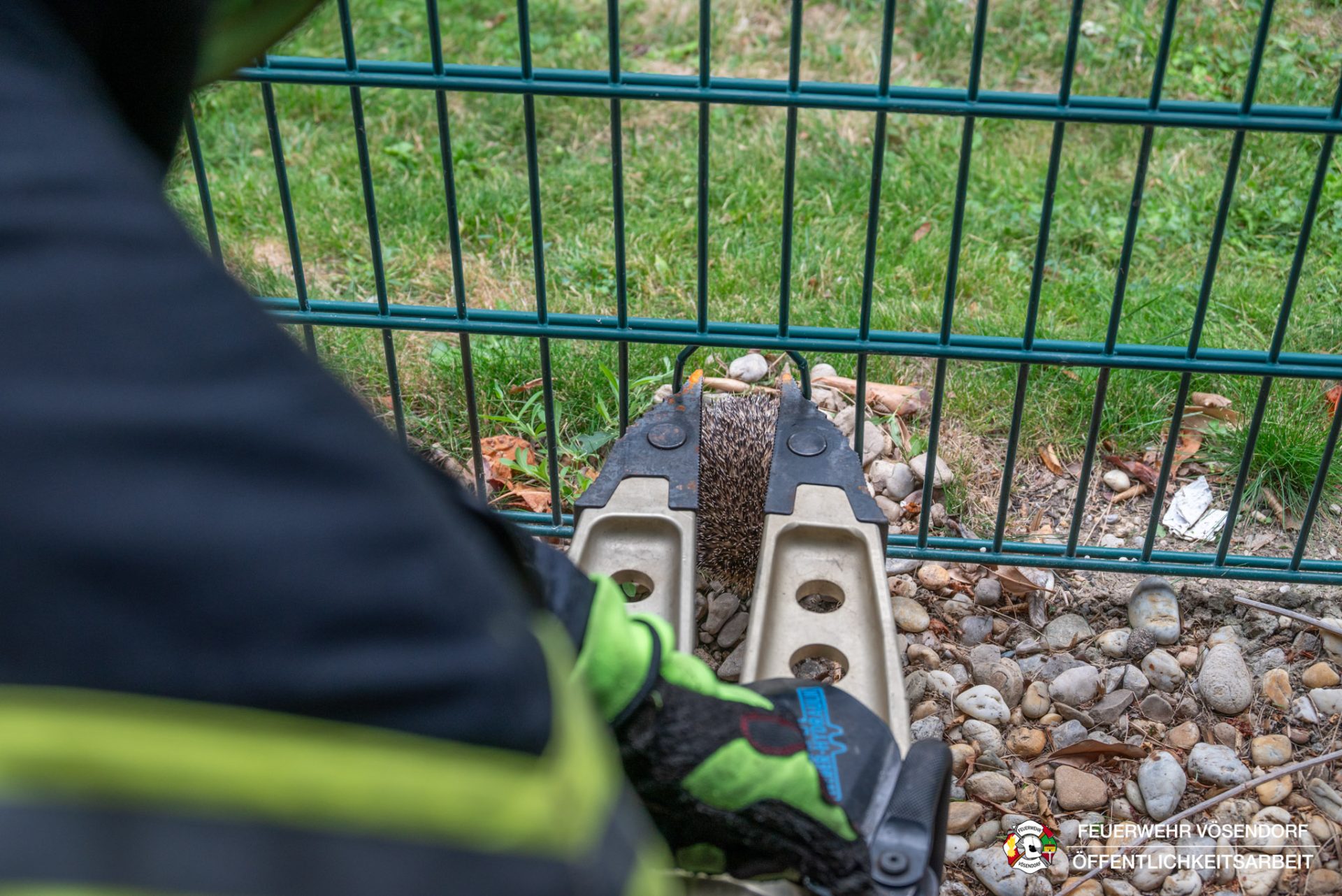 2026-09-22_0846_T1_Tierrettung-3_Web_WZ